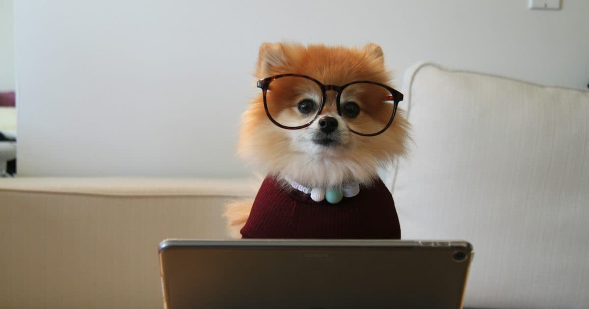 Professional reviewing LinkedIn skills and certifications on a laptop